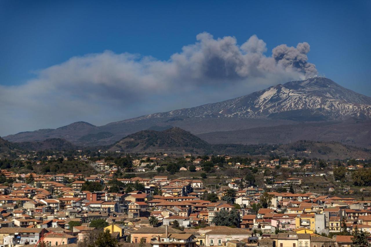 villa ridente immersa nel verde e nella quiete Zafferana Etnea Esterno foto